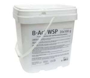 B-Act WSP